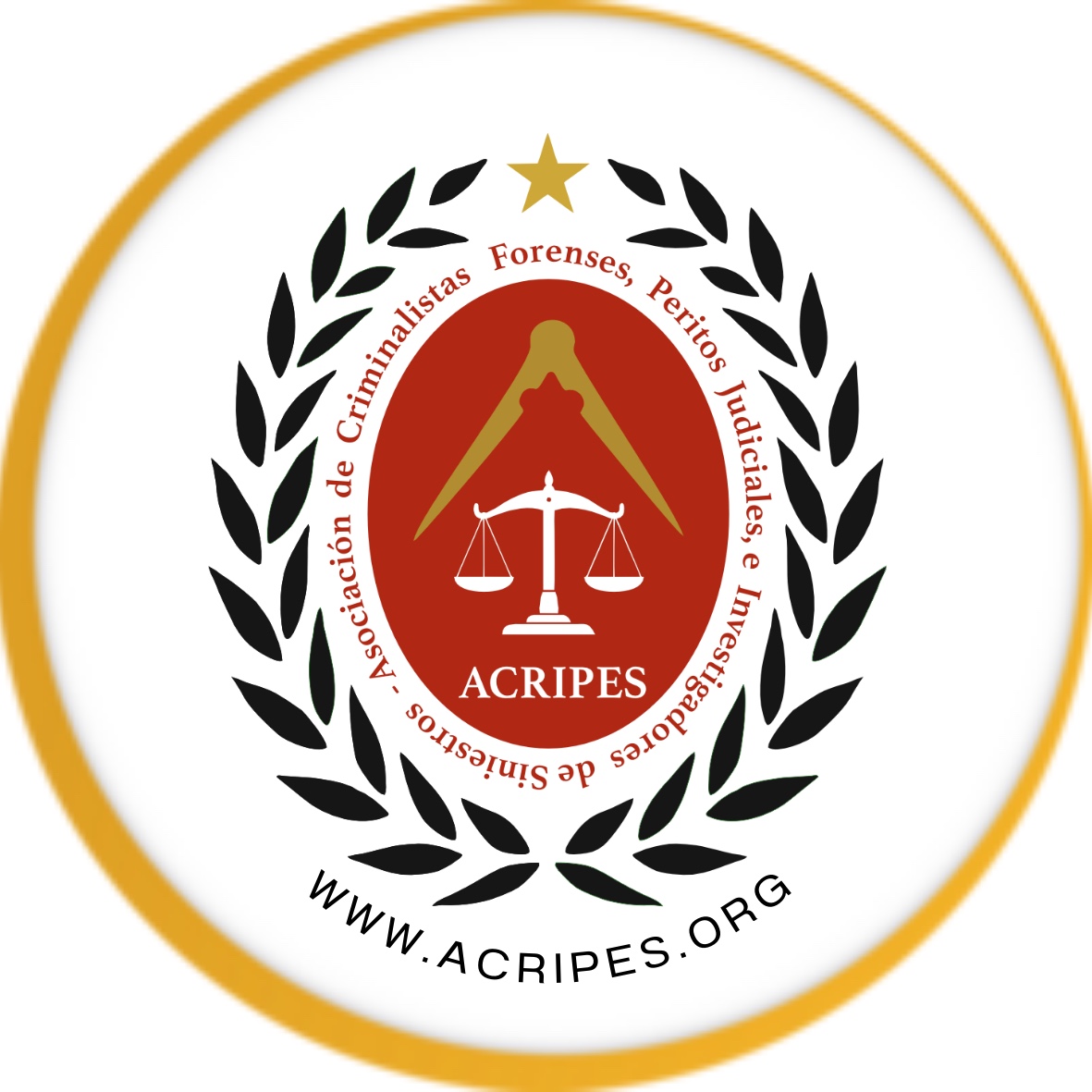 Formación "Asociación de Criminalistas Forenses y Peritos Judiciales e Investigadores de Siniestros (ACRIPES)"